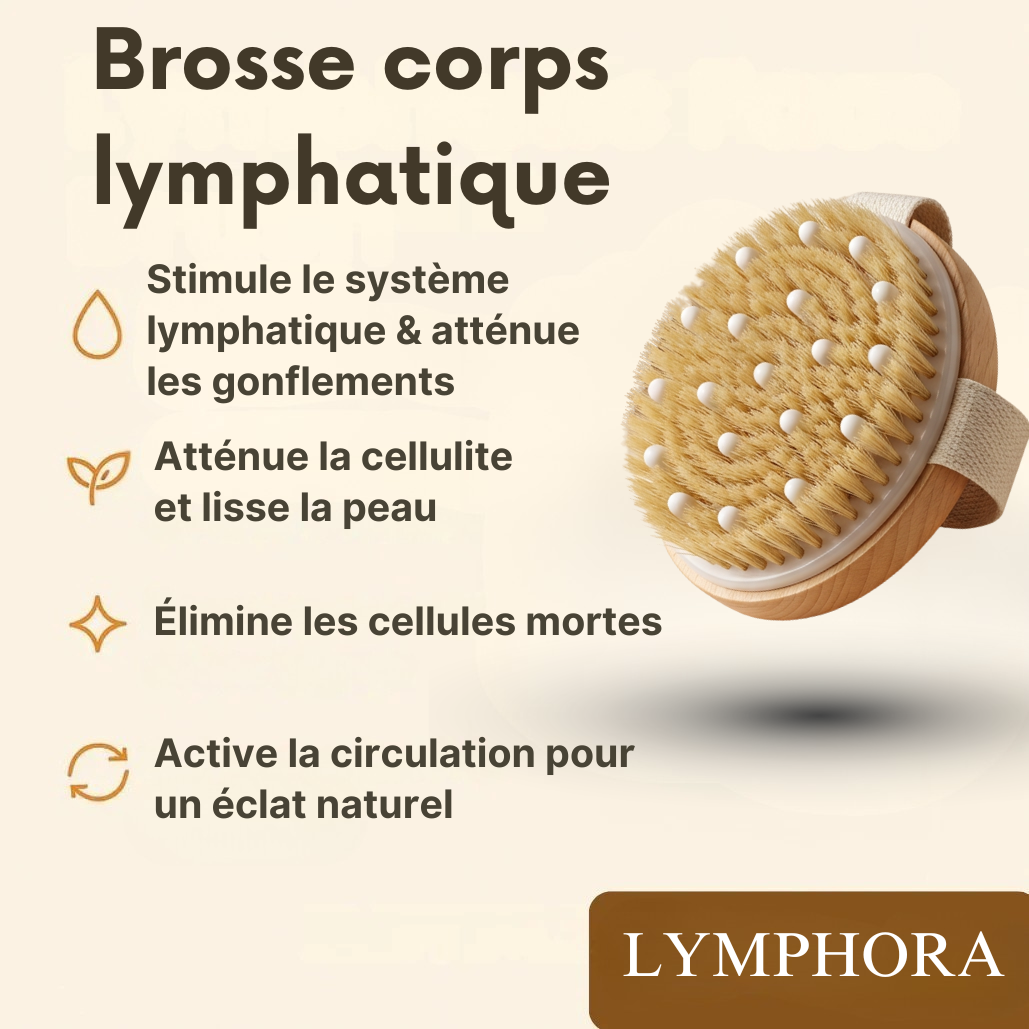 Brosse corps lymphatique